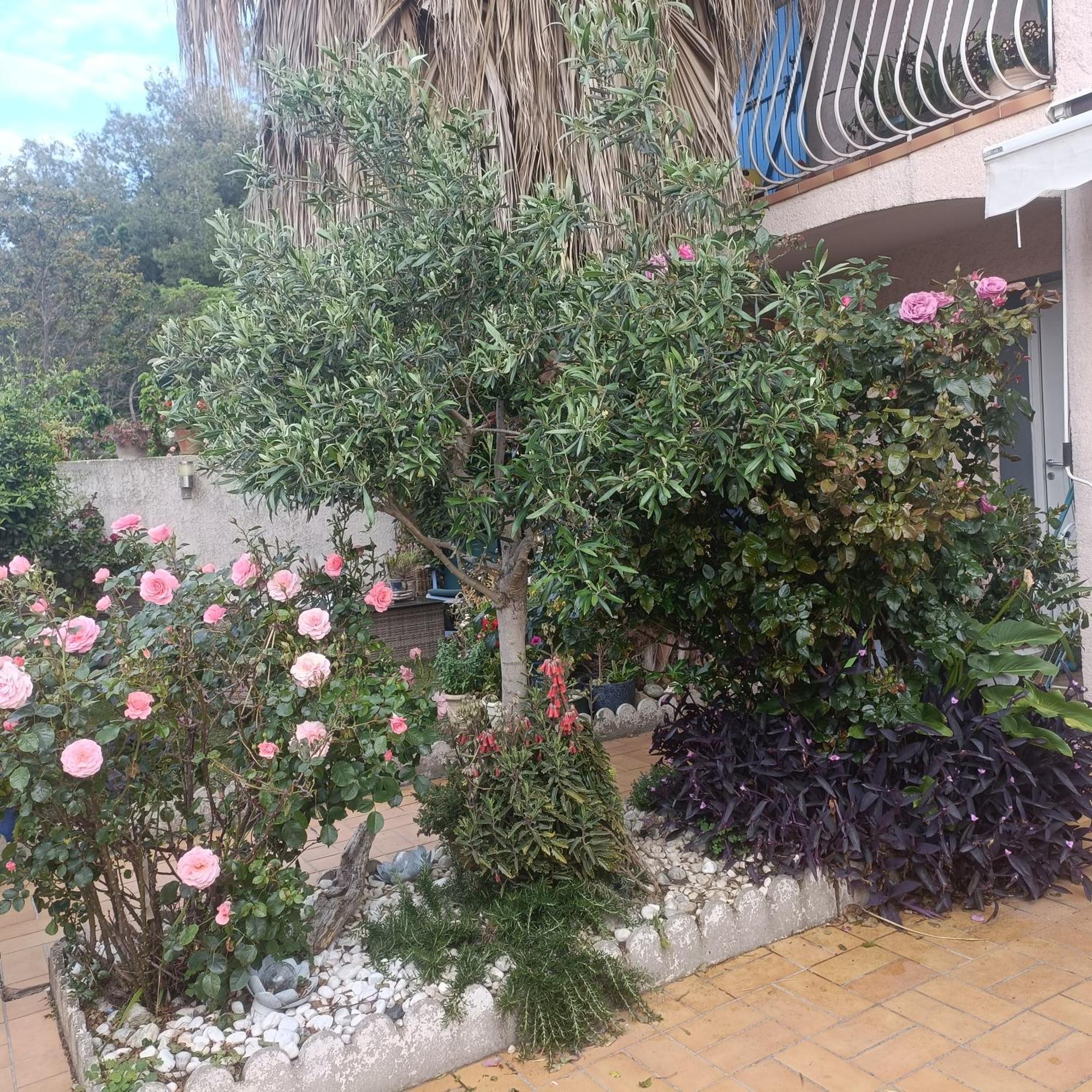 פרפיניין Studio Clair, Climatise Avec Jardin Et Parking חדר תמונה